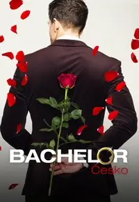 Bachelor