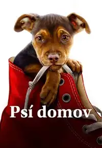 Psí domov